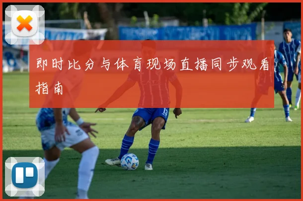 即时比分与体育现场直播同步观看指南