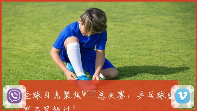 全球目光聚焦WTT总决赛，乒乓球盛宴不容错过！